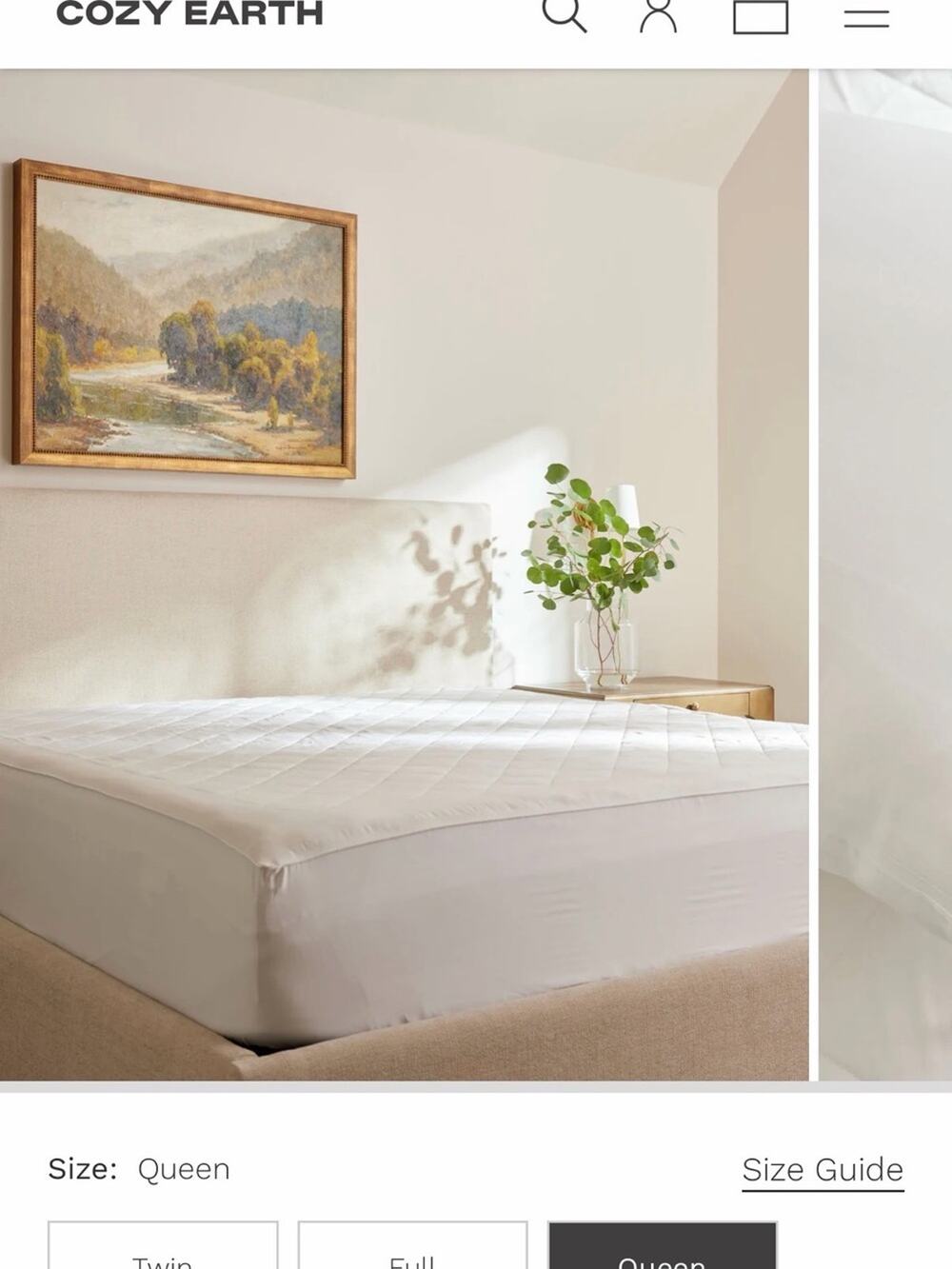 Cozy Earth Quilted Bamboo Queen Comforter